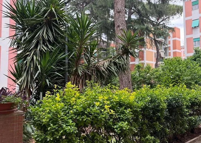 Novadomus 40